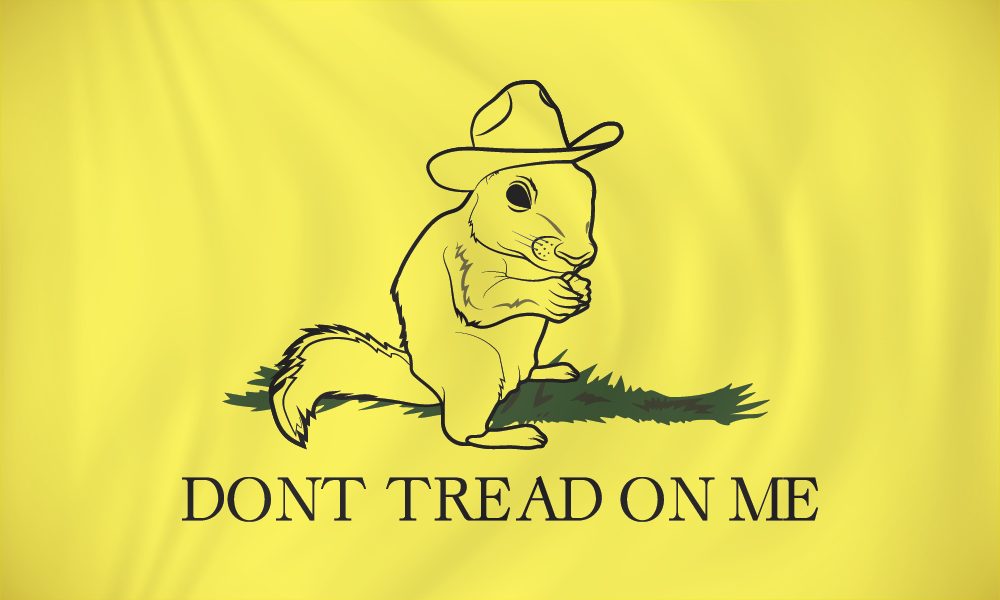 Squirrel offers Handcrafted Applique Flag