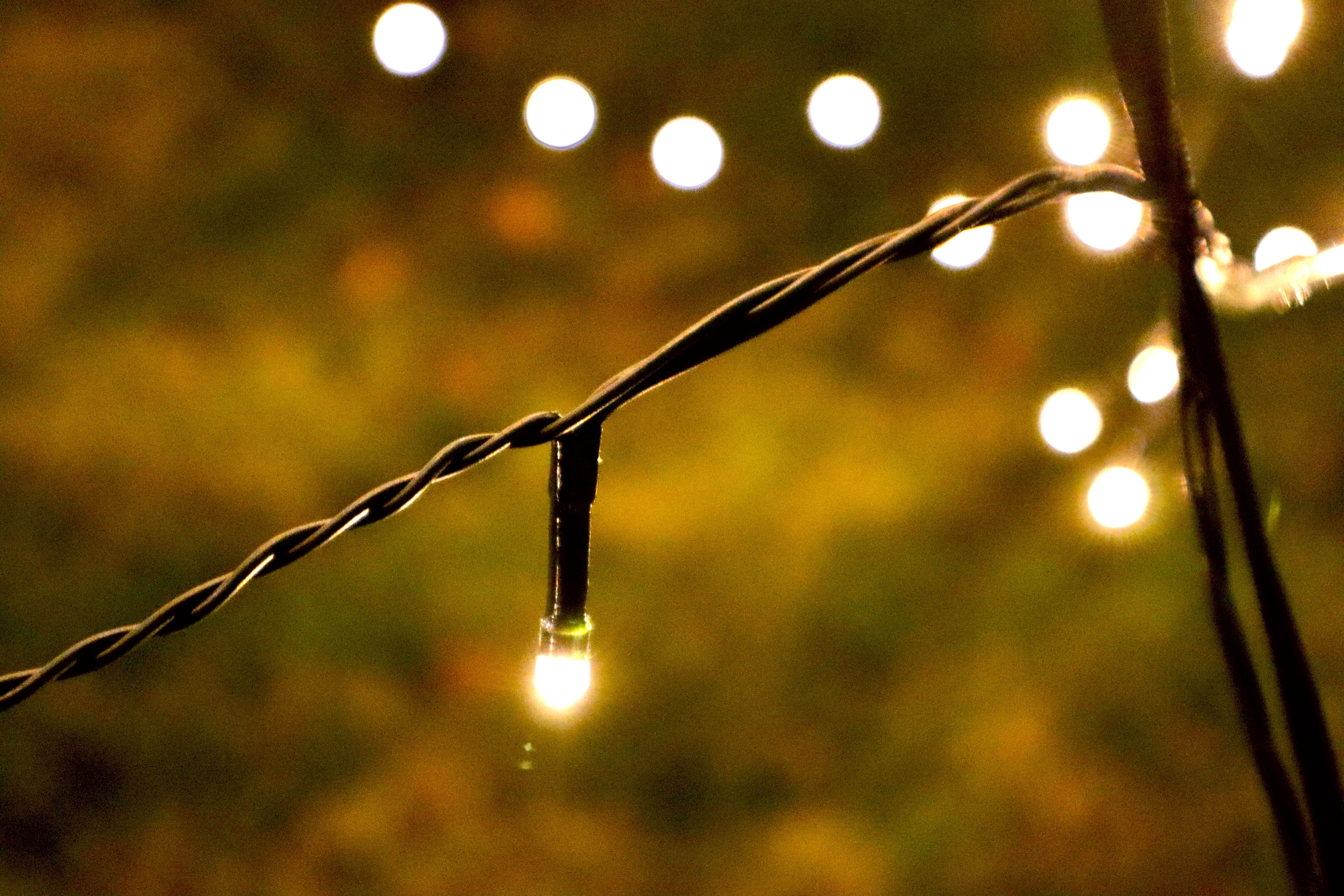 Flagpole Christmas Tree Lights