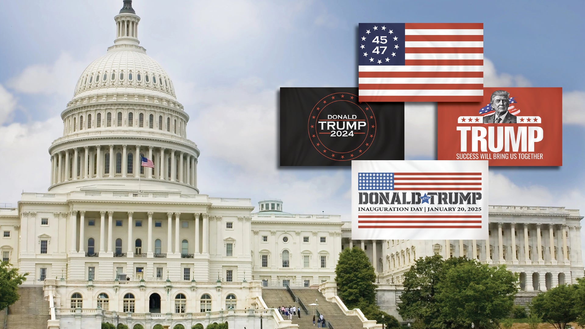 Inauguration Flags