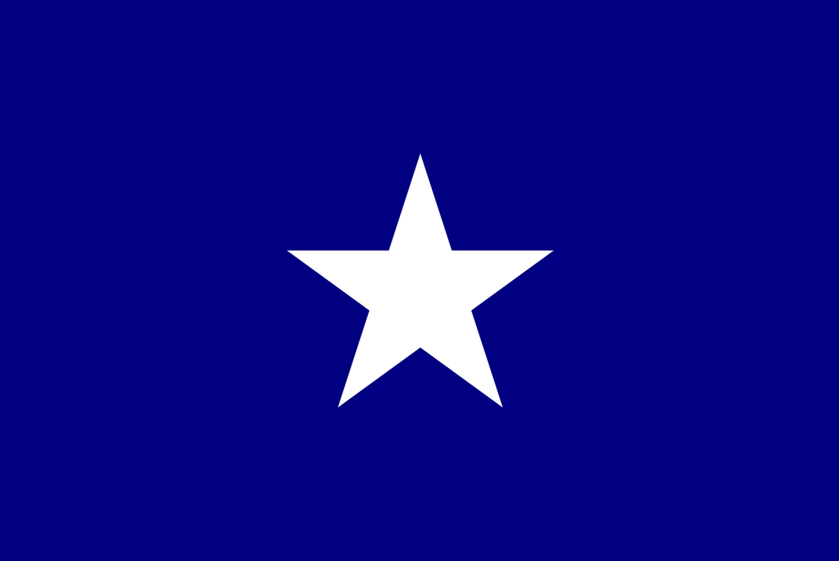 The Bonnie Blue Flag for Sale | Colonial Flag